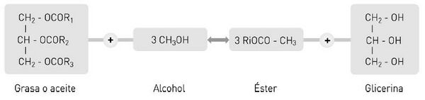 Diagrama de la reacción de transesterificación.JPG