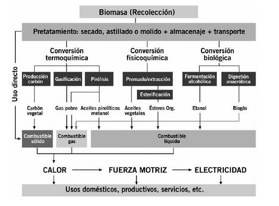 Transformaciones y aplicaciones energéticas de la biomasa.JPG
