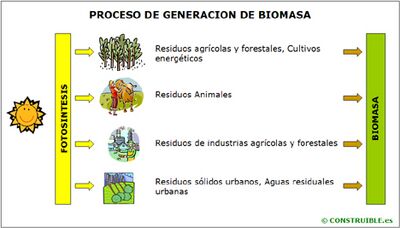 Energia Biomasa.jpg