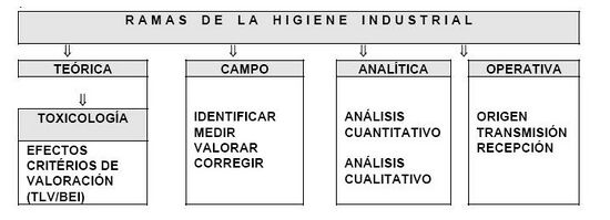 Gráfico Ramas de la Higiene Industrial.JPG