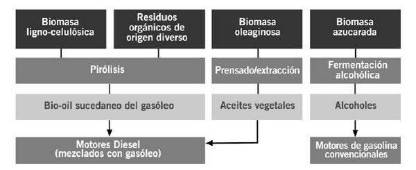 Obtención de biocarburantes.JPG